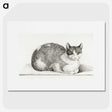 2-28_Jean-Bernard_picture