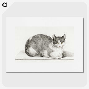 2-28_Jean-Bernard_picture