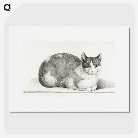 2-28_Jean-Bernard_picture