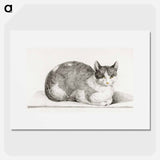 Sitting cat - Jean Bernard Poster.