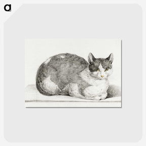 2-28_Jean-Bernard_postcard
