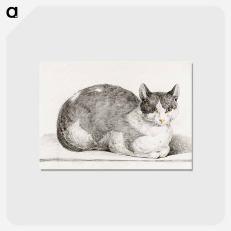 アートポストカード-Sitting cat - ジャン ベルナール Postcard.