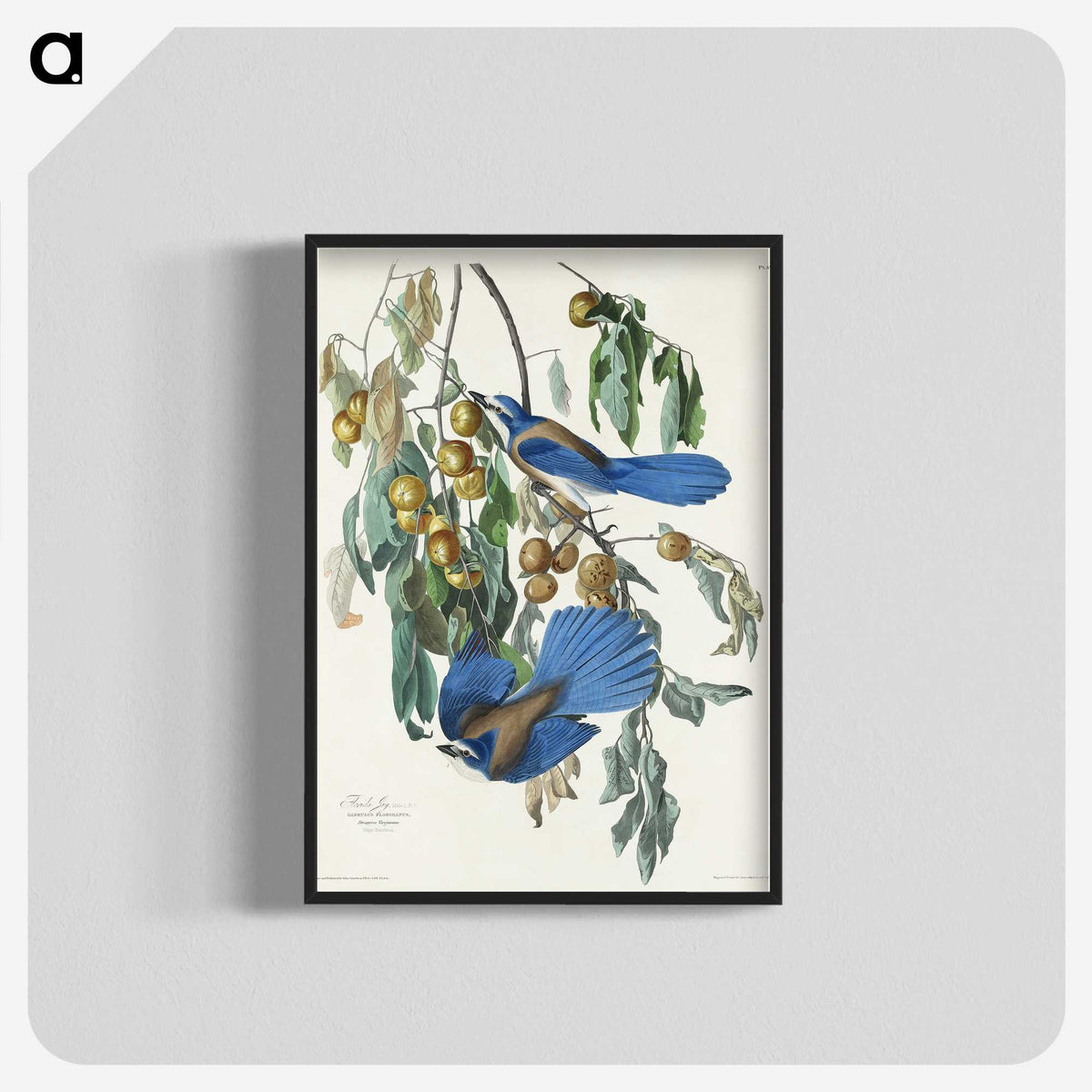 2-28_John-James-Audubon_blk-crop