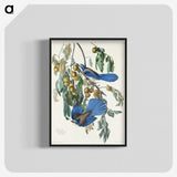 2-28_John-James-Audubon_blk-crop
