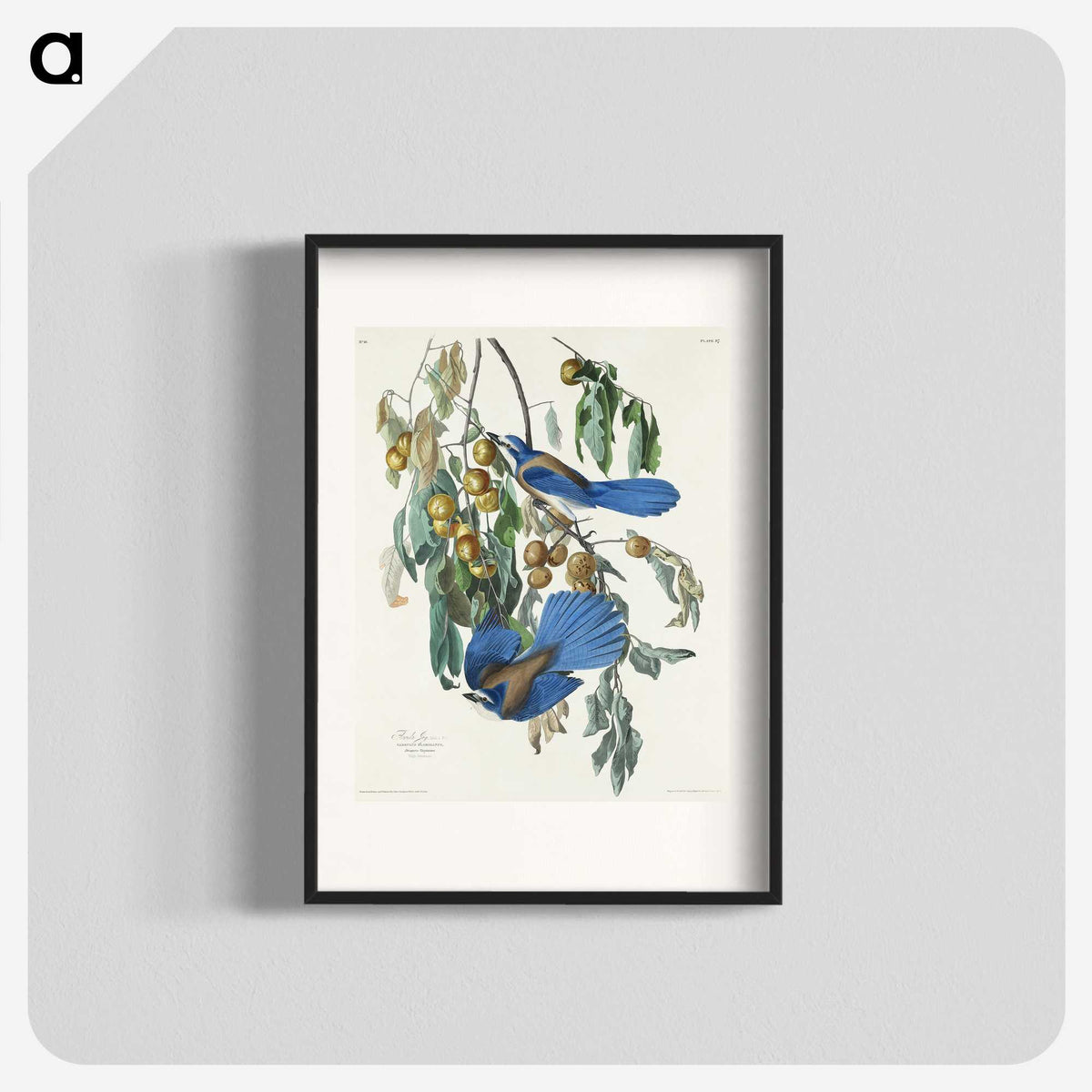 2-28_John-James-Audubon_blk