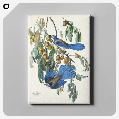 2-28_John-James-Audubon_canvas