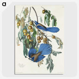 2-28_John-James-Audubon_picture-crop