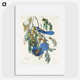 2-28_John-James-Audubon_picture
