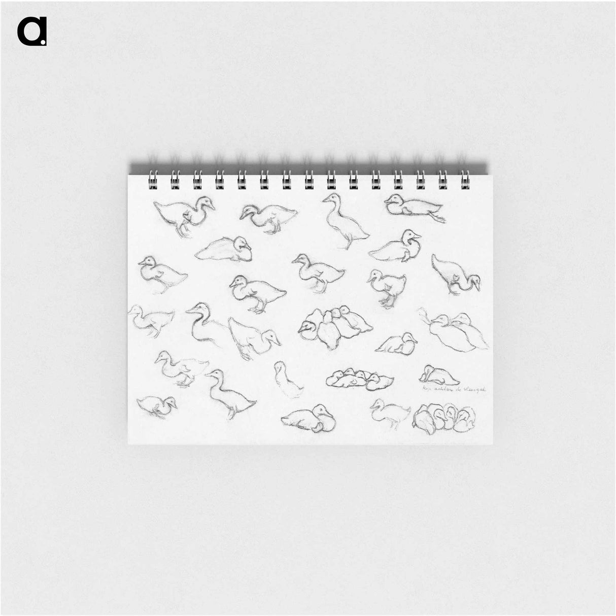 Study sketch of ducks - ユリー デ フラーハ Memo.