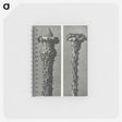 2-28_Karl-Blossfeldt_memo