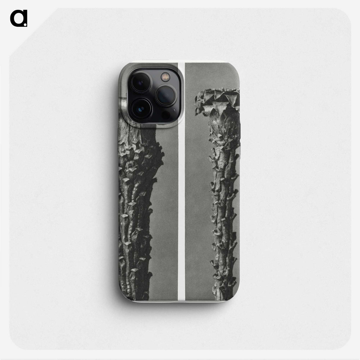 2-28_Karl-Blossfeldt_phone