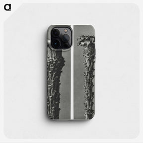 2-28_Karl-Blossfeldt_phone