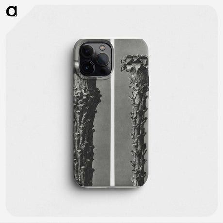 2-28_Karl-Blossfeldt_phone