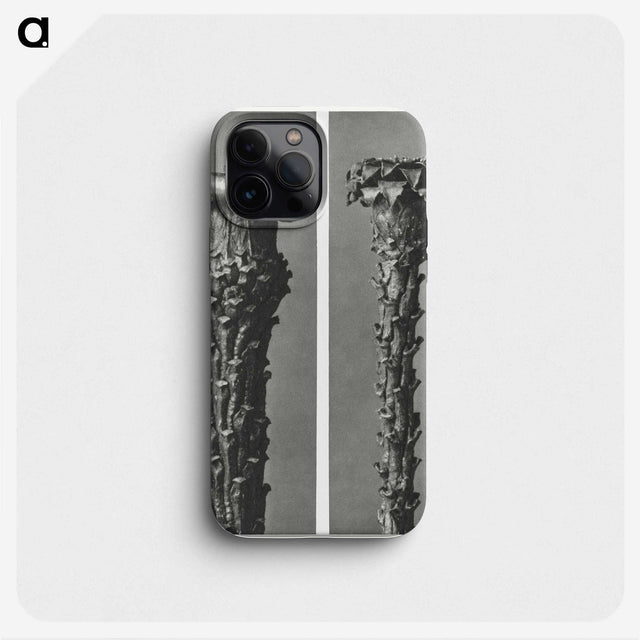 2-28_Karl-Blossfeldt_phone