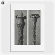 2-28_Karl-Blossfeldt_picture