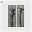 2-28_Karl-Blossfeldt_postcard