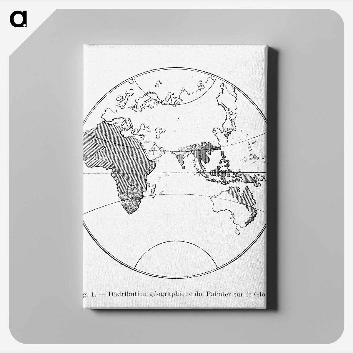 2-28_Les-Palmiers-Histoire-Iconographique_canvas