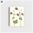 アートメモ帳-Aquilegia vulgaris
 - マリア ジビーラ メーリアン Memo.