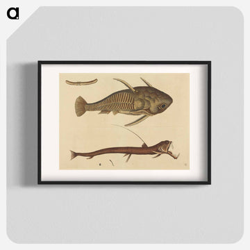 The Viper-mouth
 - マーク ケイツビー Poster.