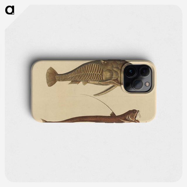 2-28_Mark-Catesby_phone