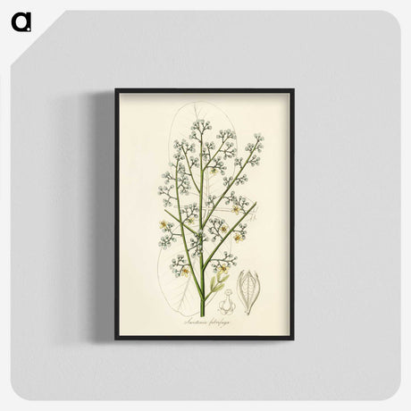 2-28_Medical-Botany_blk-crop