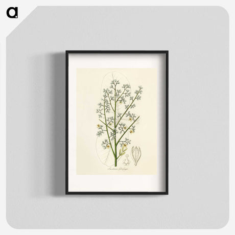 2-28_Medical-Botany_blk