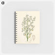 アートメモ帳-Mahogany Illustration
 - 薬用植物学 Memo.