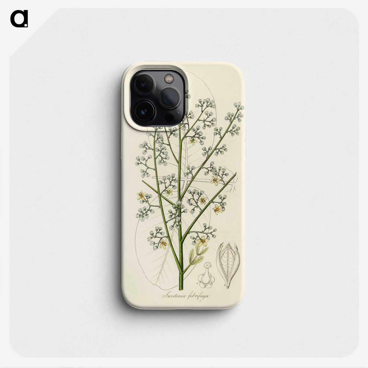2-28_Medical-Botany_phone