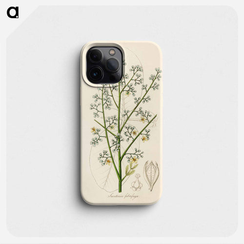 Mahogany Illustration
 - 薬用植物学 Phone Case.