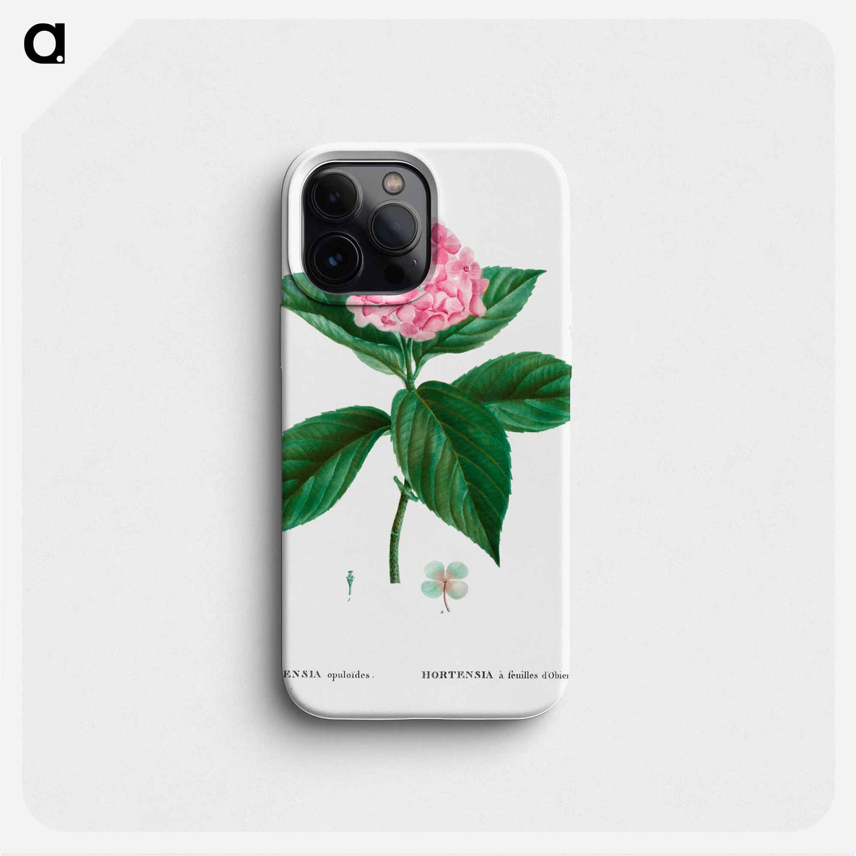 French hydrangea - Pierre Joseph Redouté Phone Case.