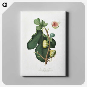 2-28_Pomona-Italiana_canvas