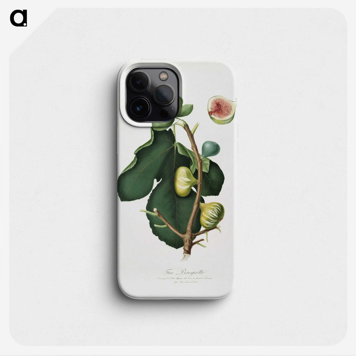 2-28_Pomona-Italiana_phone