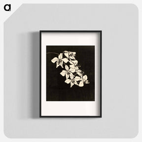アートポスター-Orchid Flower
 - サミュエル ジェスルン Poster.