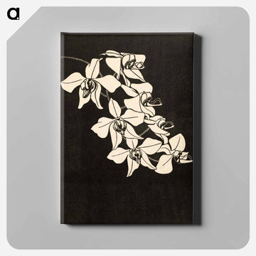 Orchid Flower
 - サミュエル ジェスルン Canvas.