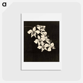 アートポストカード-Orchid Flower
 - サミュエル ジェスルン Postcard.