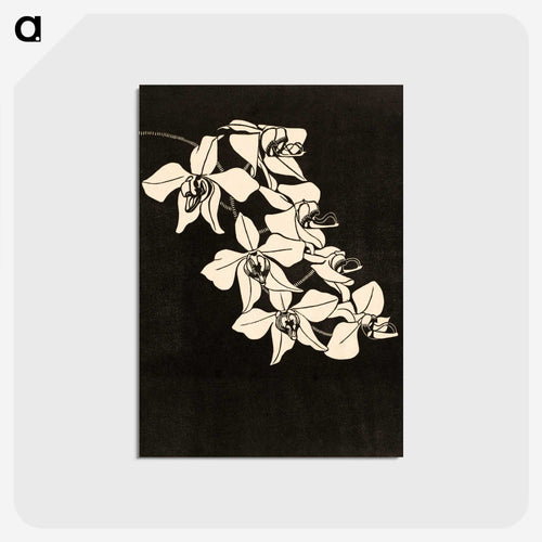 Orchid Flower
 - サミュエル ジェスルン Postcard.