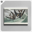 アートパネル-Fork-tailed Petrel from Birds of America
 - アメリカの鳥たち Canvas.