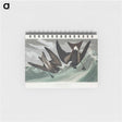 アートメモ帳-Fork-tailed Petrel from Birds of America
 - アメリカの鳥たち Memo.