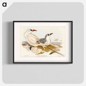 オーストラリア