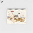 アートメモ帳-Red-tailed Tropic Bird
 - オーストラリアの鳥 Memo.