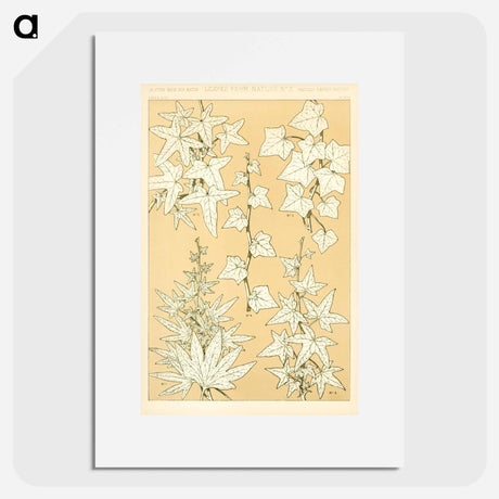 アートポスター-Nineteenth-Century Ornament
 - 装飾の文法 Poster.