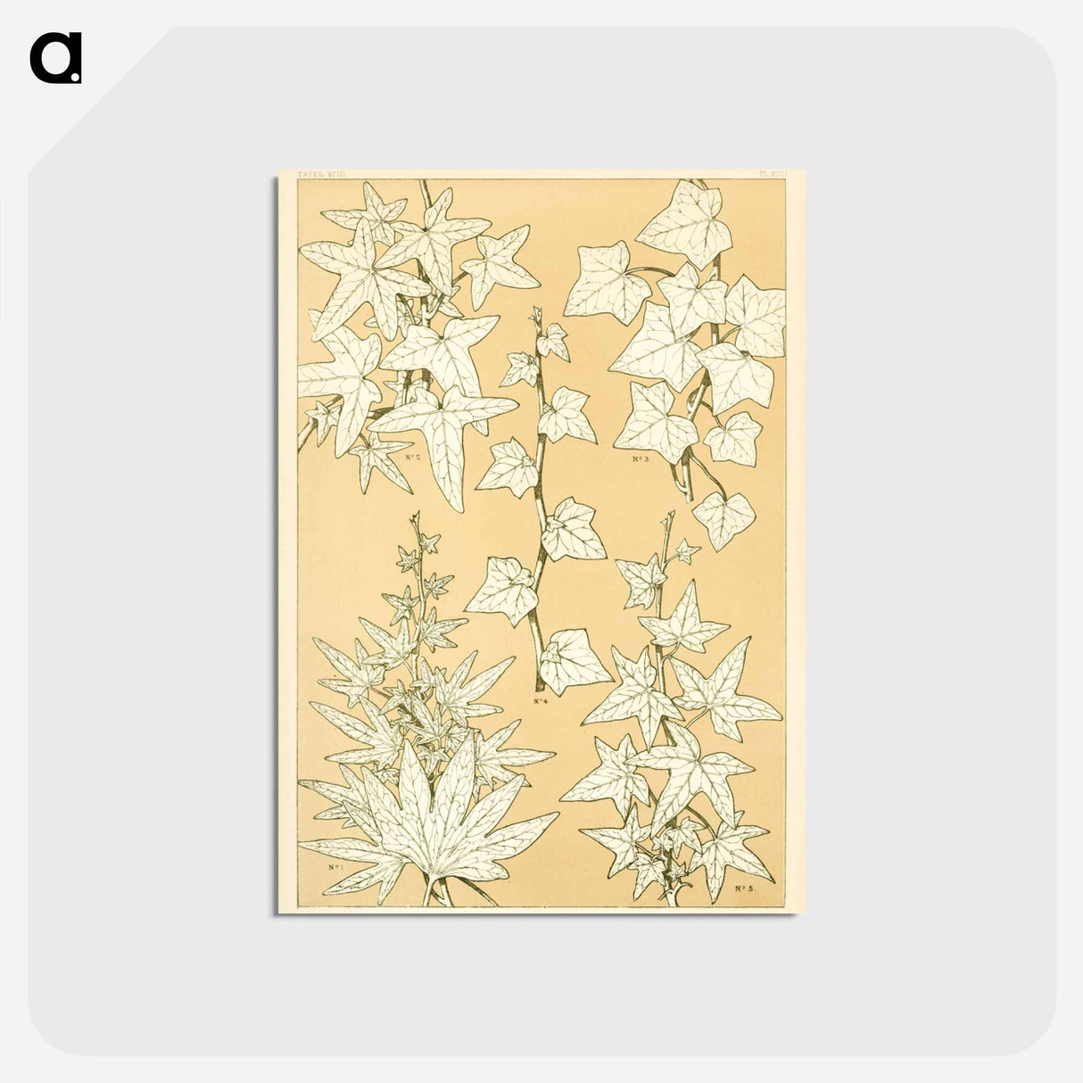 アートポストカード-Nineteenth-Century Ornament
 - 装飾の文法 Postcard.