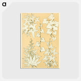 アートポストカード-Nineteenth-Century Ornament
 - 装飾の文法 Postcard.