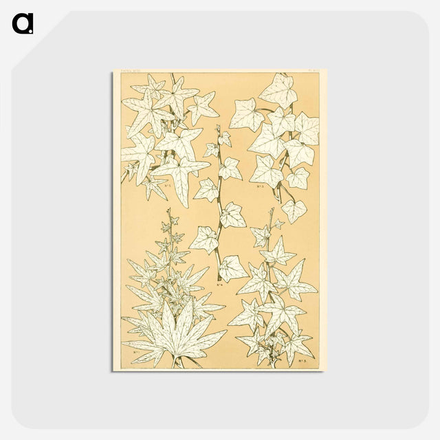 アートポストカード-Nineteenth-Century Ornament
 - 装飾の文法 Postcard.