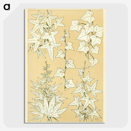 2-28_The-Grammar-of-Ornament_picture-crop