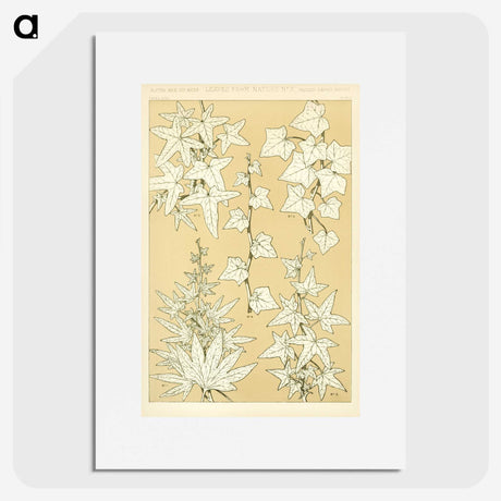 2-28_The-Grammar-of-Ornament_picture