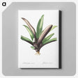 2-28_The-Lilies_canvas