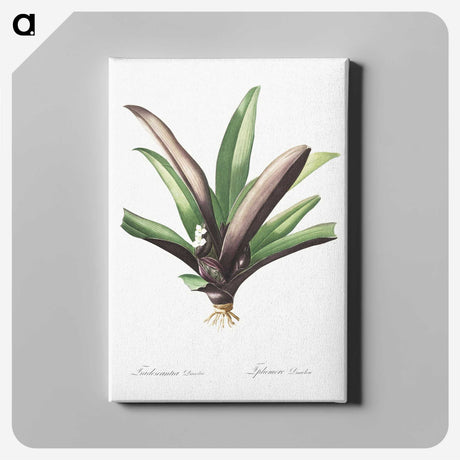 2-28_The-Lilies_canvas