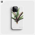 2-28_The-Lilies_phone