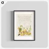 アートポスター-Wine Grape, Gillyflower, and Land Snail
 - 書道のお手本 Poster.